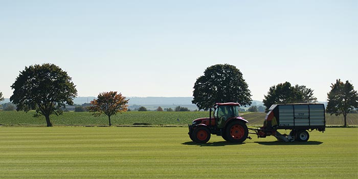 Rasen absaugen — sauberes Schnittgut entfernen