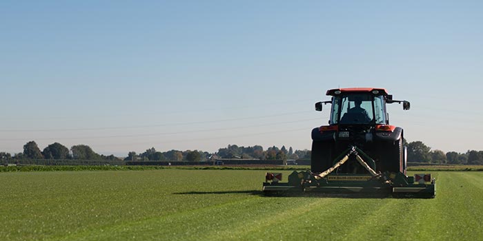 Sport und Spiel Rasen — frisch gemähte Rasenfläche